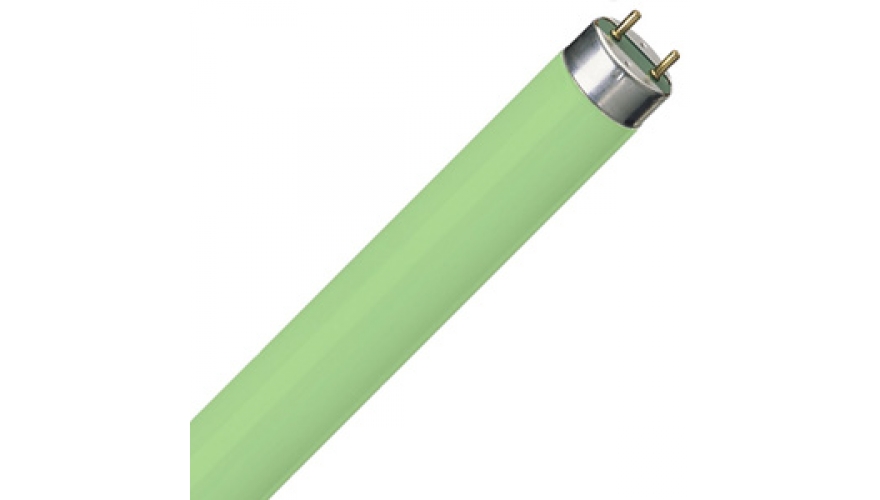 Люминесцентная лампа G13 OSRAM L36/66 G13 T8 1200mm зеленая Люминесцентная лампа G13 OSRAM L36/66 G13 T8 1200mm зеленая