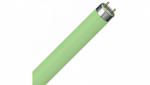Люминесцентная лампа G13 OSRAM L36/66 G13 T8 1200mm зеленая Люминесцентная лампа G13 OSRAM L36/66 G13 T8 1200mm зеленая